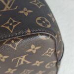LV Neonoe MM Brown Monogram Coated Canvas with Red Leather and Gold Hardware #GUUUY-2 - Image 13