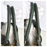 Prada BN2435 Bag Green Calf Leather WIth Gold Hardware #GUUCE-3 - Image 16