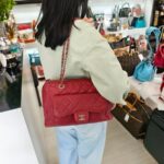 Chanel Paradoxal Camera Case Bag Red Grained Calfskin with Silver Hardware #RRLU-1 - Image 36
