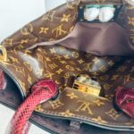 LV Etoile Exotique Limited Edition Brown Monogram Canvas with Snake Skin/ Ostrich Skin/ Leather and Gold Hardware #GUCEK-1 - Image 34