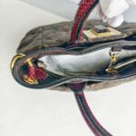 LV Etoile Exotique Limited Edition Brown Monogram Canvas with Snake Skin/ Ostrich Skin/ Leather and Gold Hardware #GUCEK-1 - Image 9