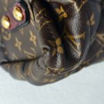 LV Etoile Exotique Limited Edition Brown Monogram Canvas with Snake Skin/ Ostrich Skin/ Leather and Gold Hardware #GUCEK-1 - Image 15