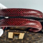 LV Etoile Exotique Limited Edition Brown Monogram Canvas with Snake Skin/ Ostrich Skin/ Leather and Gold Hardware #GUCEK-1 - Image 22