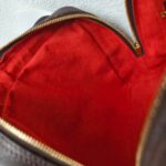 LV Triana Brown Damier Ebene Coated Canvas with Leather and Gold Hardware #GUUTS-1 - Image 34